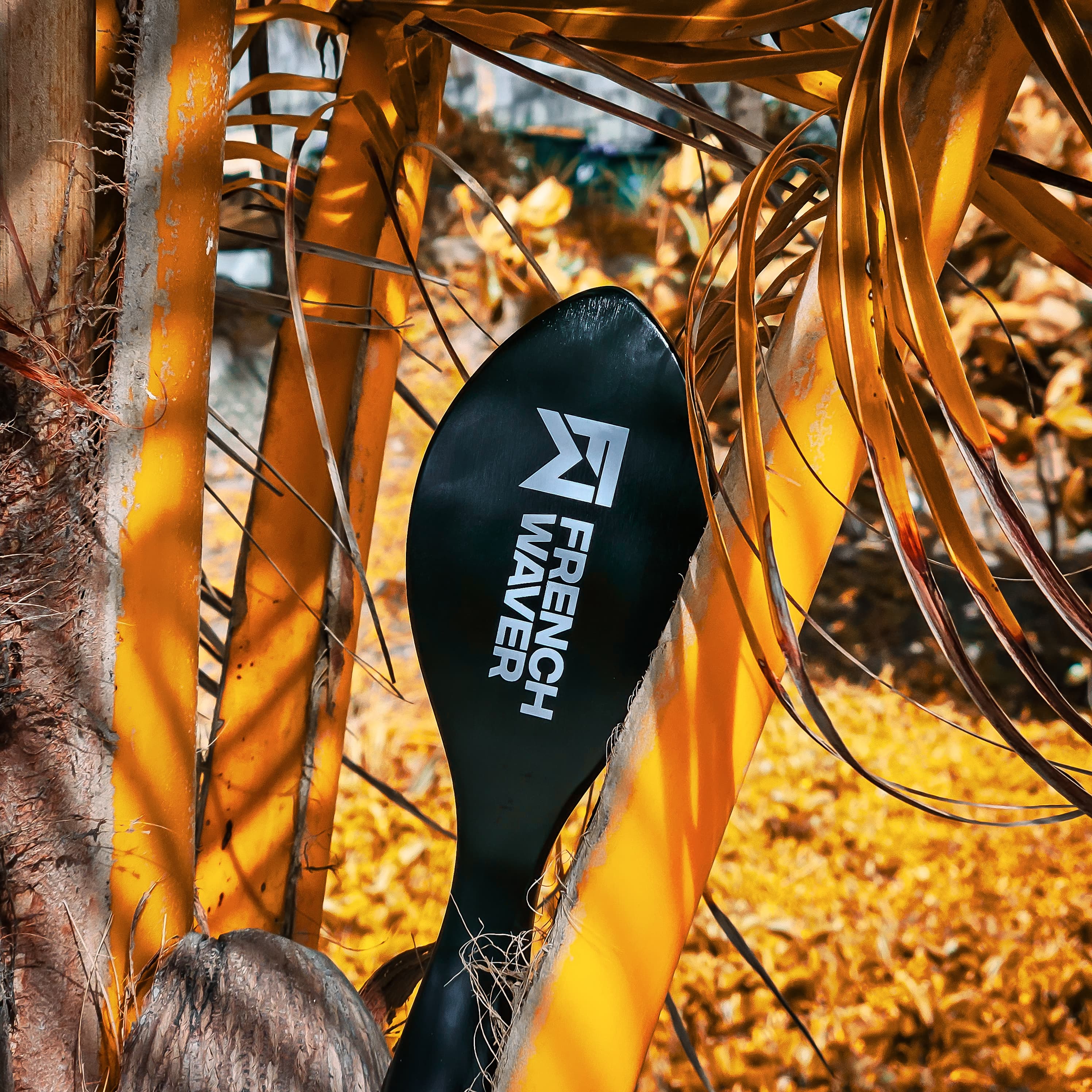 Brosse Squale Master